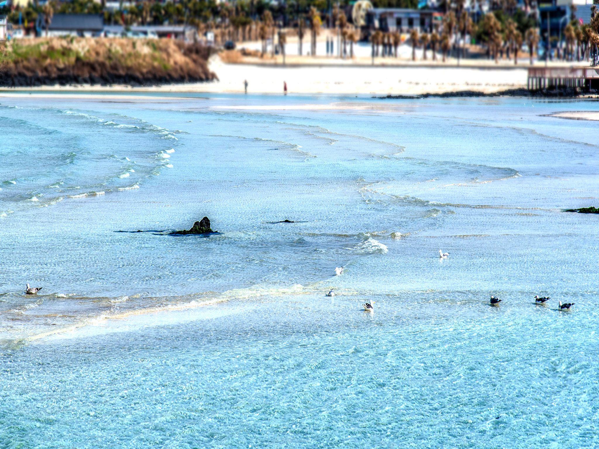 선샤인 호텔 제주 시설